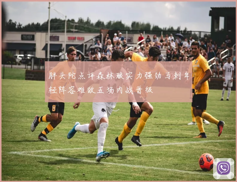 胖头陀点评森林狼实力强劲马刺年轻阵容难敌五场内战晋级